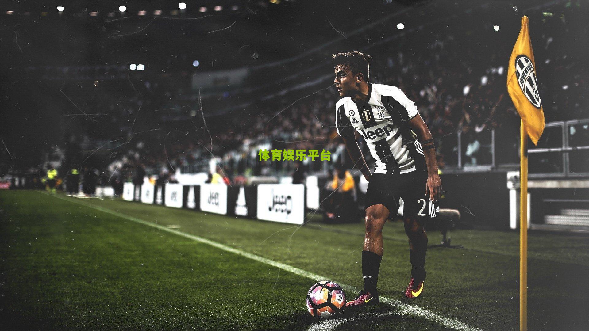 不一young的卡塔尔揭秘东道主新貌,体育、文化与未来的三重奏